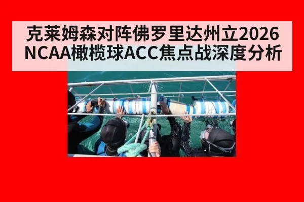 克莱姆森对阵佛罗里达州立2026NCAA橄榄球ACC焦点战深度分析